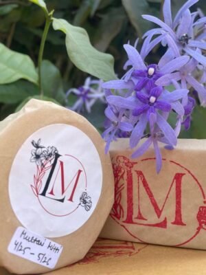 Quarto abcs of families